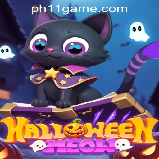 HalloweenMeow: A Spooky Adventure with a Feline Twist